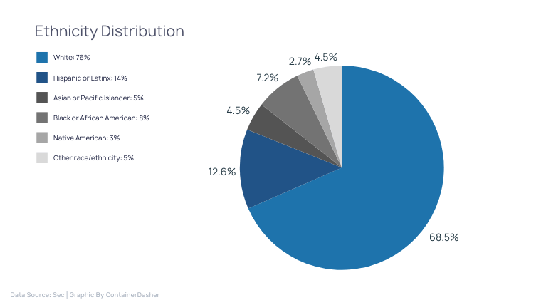 Etsy Ethnicity Distribution